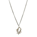 Crystal Logo Star Necklace Silver